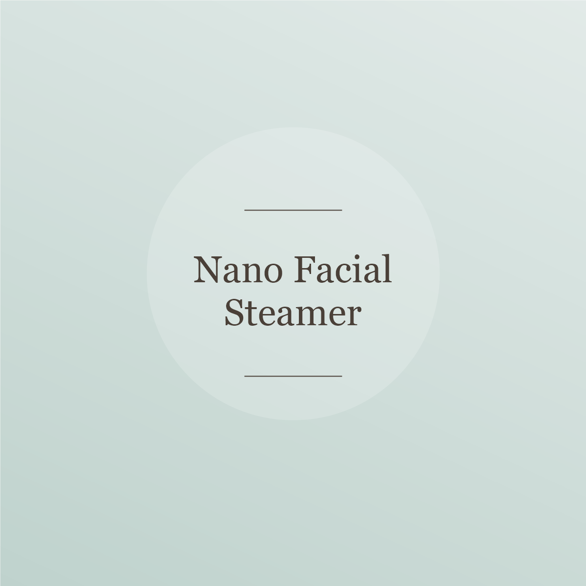 Nano facial steamer